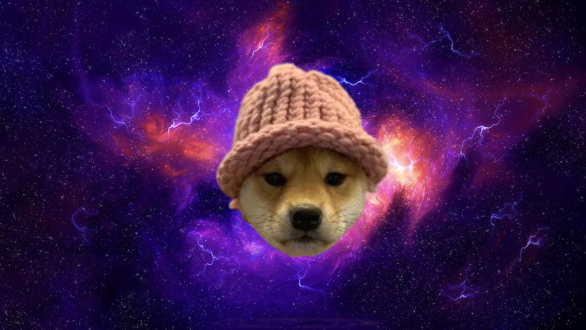 Dogwifhat (WIF) Price Surges 9% as Investors Enter Buying Frenzy for the Meme Coin