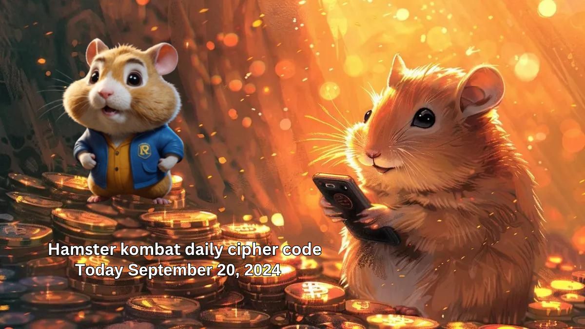 Hamster Kombat: 일일 암호 코드 및 콤보 카드 현상