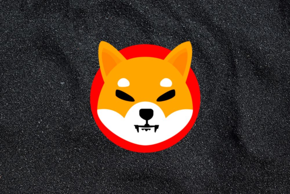 Shiba Inu (SHIB) Price Predictions: Analysts Divided on Token's Prospects Through 2025