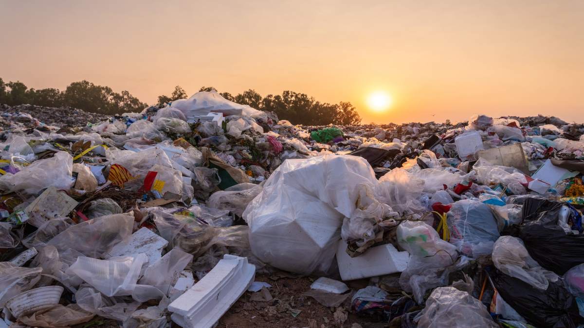 Ce polluant toxique et persistant doit être combattu à l'échelle mondiale, disent les experts