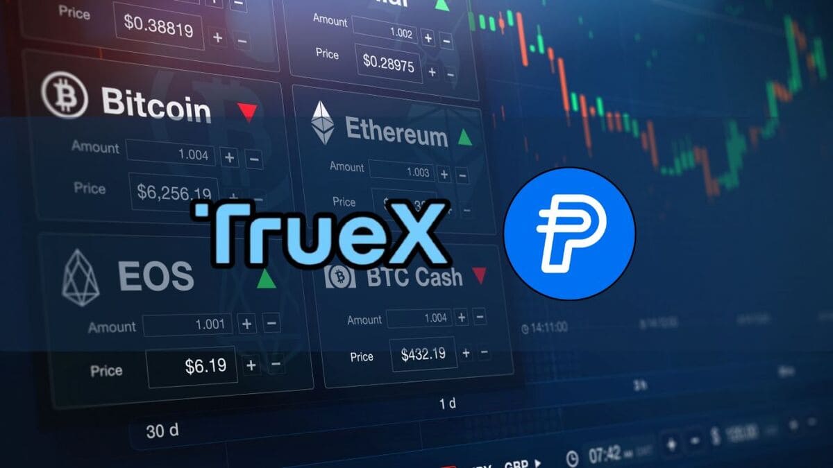 TrueX: A New Cryptocurrency Exchange Focused on Stablecoins