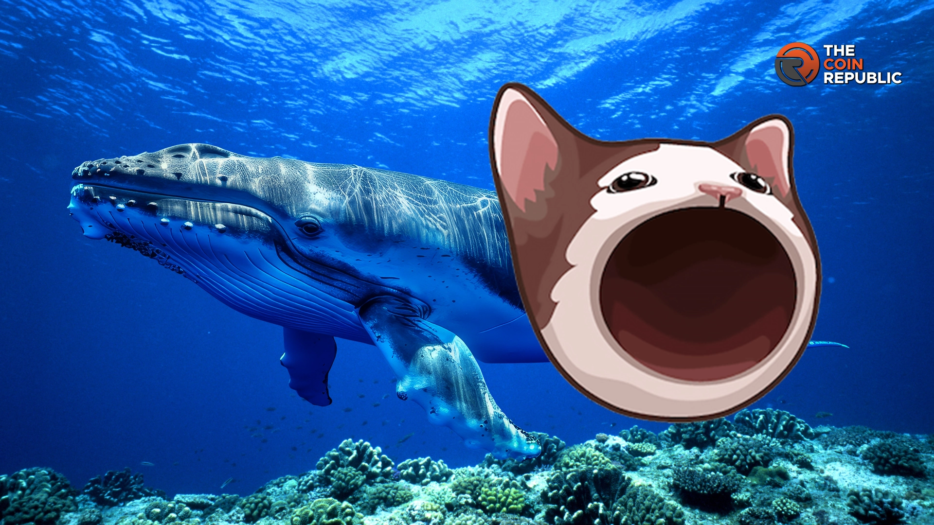 トークンの高騰の中、クジラが $POPCAT で 120 万ドル以上を稼いだ