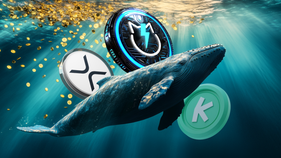 XRP, Kaspa, JetBolt: Three Coins, Three Opportunities