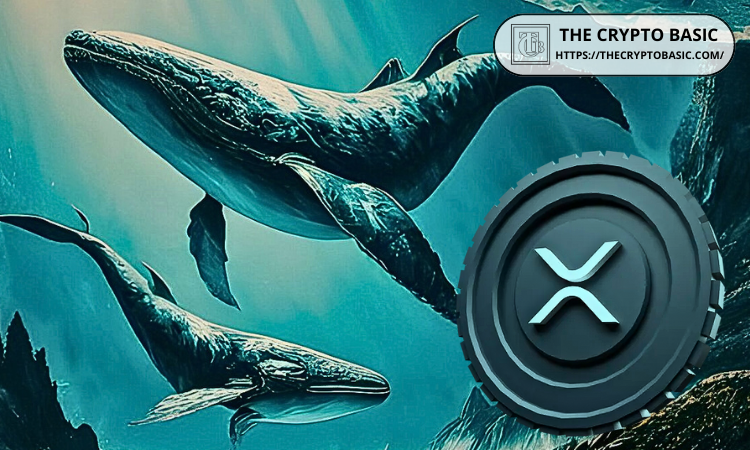 XRP Whales Accumulate 380 Million Tokens in 10 Days as Price Nears All-Time High