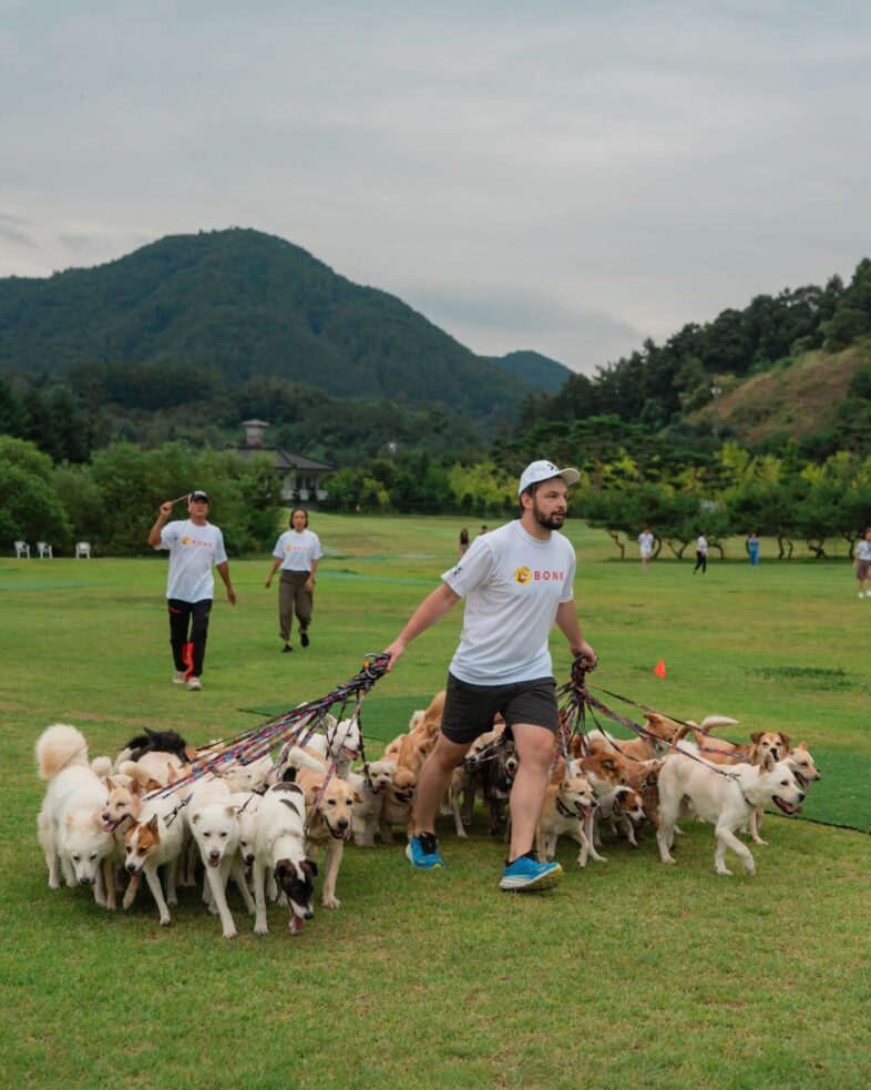 BONK und Korean K9 Rescue brechen den Guinness-Weltrekord und sind Champion bei der Adoption von Hunden während der Korea Blockchain Week