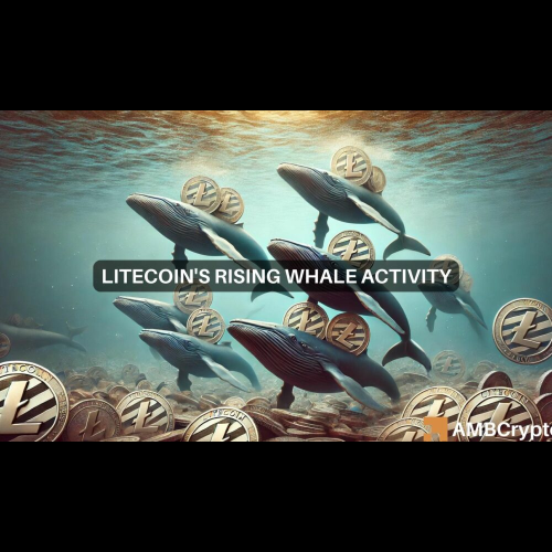 Litecoin(LTC) 네트워크는 고가치 거래에서 눈에 띄는 급증을 확인하여 대규모 투자자의 관심이 높아지고 있음을 나타냅니다.