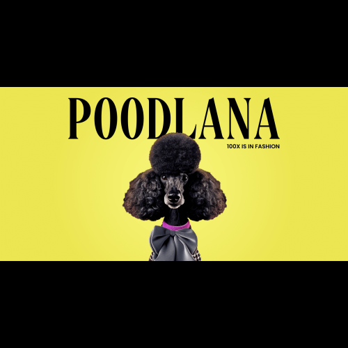 Poodlana 推出病毒式时装周幕后内容