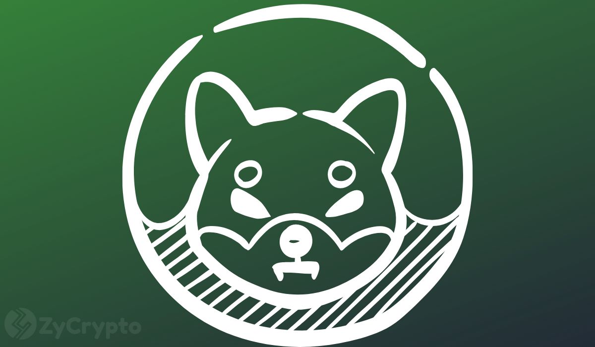 Shiba Inu (SHIB) stellt Shibarium-Upgrade vor, aber Bedenken hinsichtlich der Token-Versorgung bestehen weiterhin