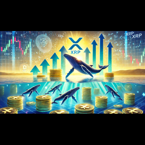 XRP Whales Have Gone on a Large Shopping Spree, a sign that could be bullish for the cryptocurrency's price