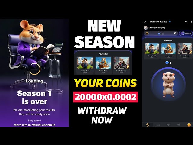 Hanster Kombat New Season Withdraw Your All Coins | Hamster Kombat Coin Not Showing |