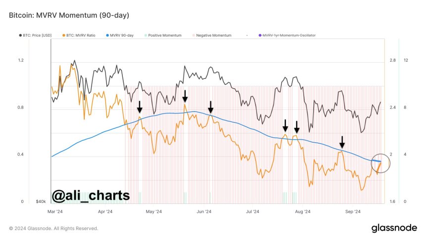 Bitcoin (BTC) Price Rally Continues Despite Uncertainty Over Bullish Trend