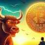 Bitcoin Bull Run May Be on the Horizon, Market Expert Fred Krueger Asserts