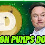 Prédiction du prix Dogecoin : DOGE envisage 0,15 $ alors qu'Elon Musk fait subtilement la promotion du Meme Coin