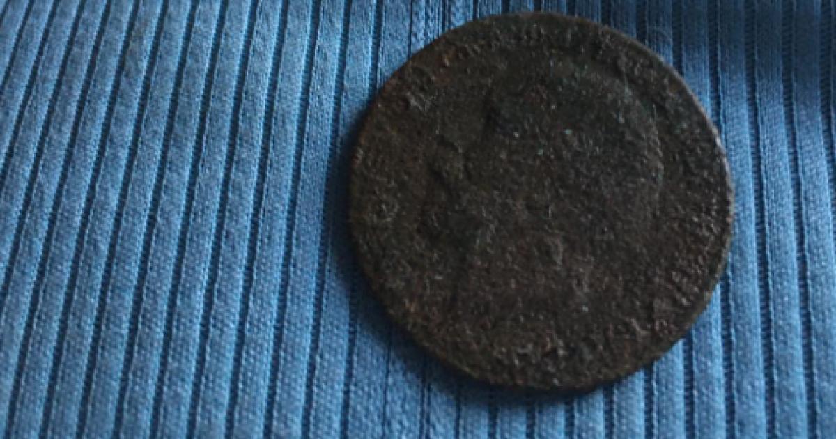 King George V coin found on pile of dirt dug up by mole on farmer's field near Sedbergh