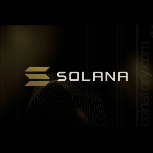 Solana DEX Volume Overtakes Ethereum, Driven by Meme Coin Activity and Surging NFT Sales