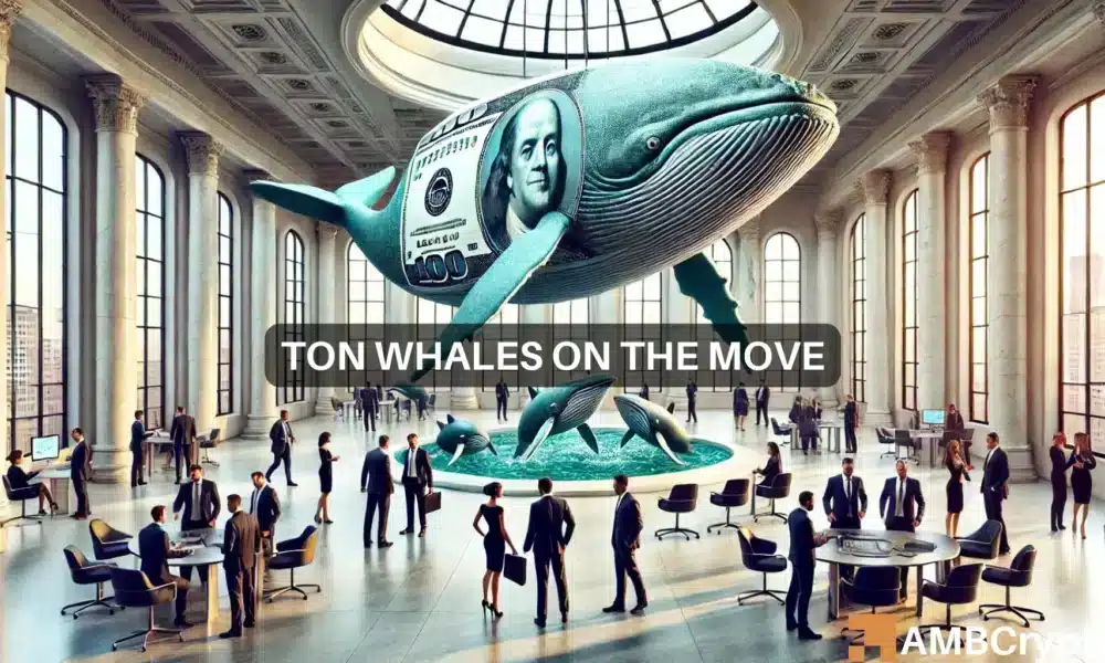 Toncoin (TON) Whales Accumulate, Active Addresses Surge, But Long-Short Ratio Declines