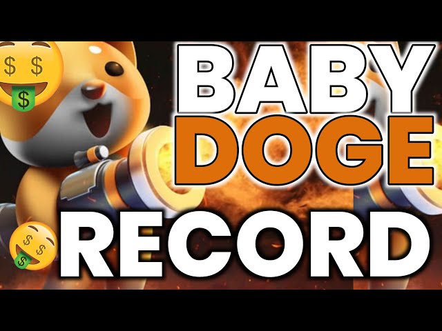 Pièce Baby Doge DERNIÈRES NOUVELLES🔥Prévision du prix du Baby Dogecoin💸Dernières nouvelles de la pièce Babydoge aujourd'hui🔥BABYDOGE