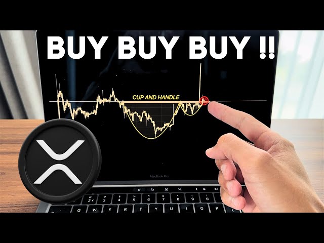 KAUFEN SIE XRP VOR 40 $!!!