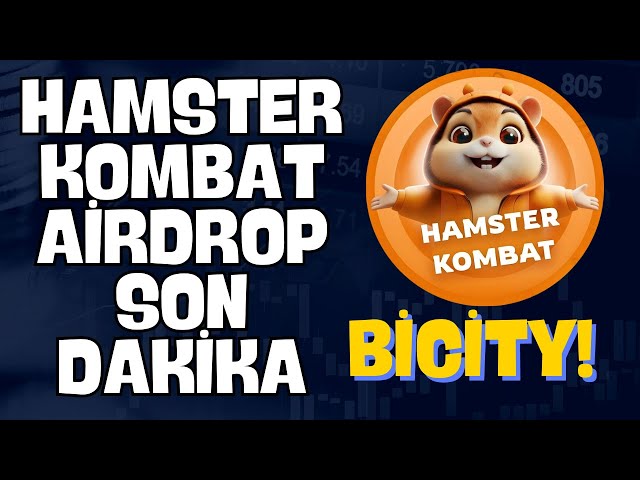 WAS IST DER ZUSTAND VON HAMSTER KOMBAT AIRDROP --- BICITY COIN ANALYSE #hamsterkombat #bicity