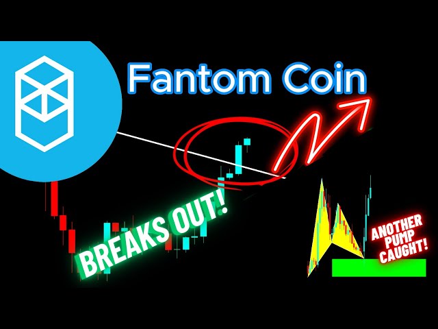 Fantom Crypto (FTM) Crypto Coin éclate !