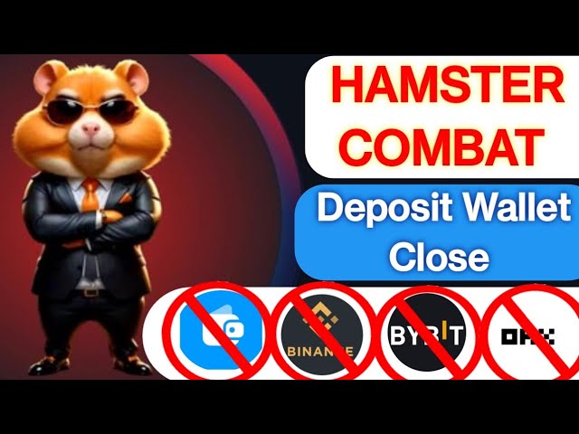 Hamster Combat off chain deposit close|| Hamster coin exchange wallet close