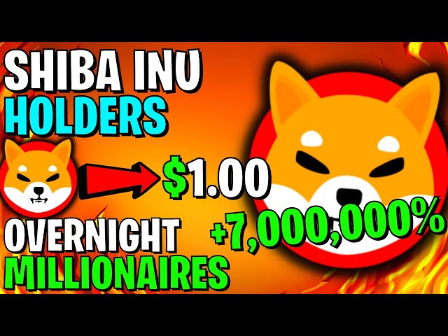 SHIBA INU COIN ENDLICH 🔥 WUNDERBARE NACHRICHTEN! SHIBA INU COIN NEWS HEUTE – SHIBA INU PREISVORHERSAGE