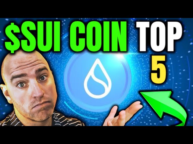 SUI Expert Reveals Top 5 Crypto Picks for 2024!