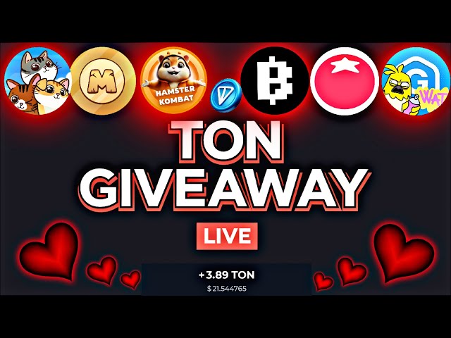 Ton Coin Giveaway Live 🎁 X Empire und Hanster kämpfen gegen Gasgebühren