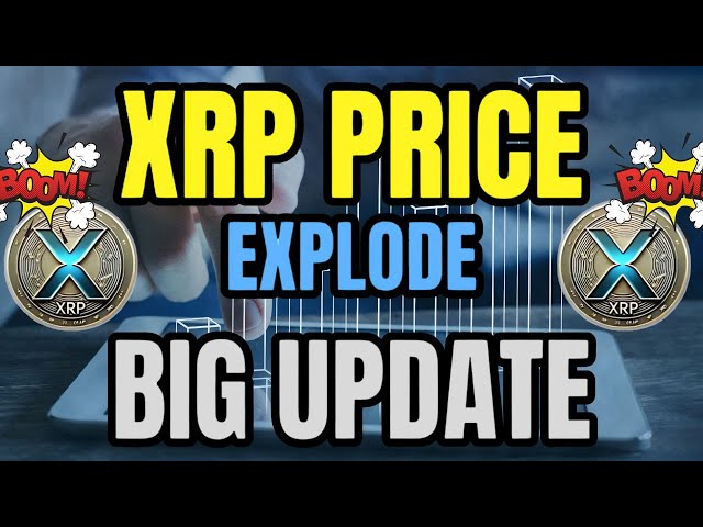 NOUVELLES XRP : XRP MAINTENANT EN DIRECT ! LE PDG DE RIPPLE RÉPOND ! DAVID SCHWARTZ DERNIER PRIX XRP ! DERNIÈRES NOUVELLES XRP