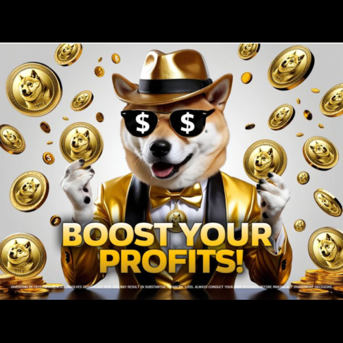 Doge2014 Is Building a Community Around Dogecoin, Aiming to Commemorate the Success of the First and Largest Meme Coin