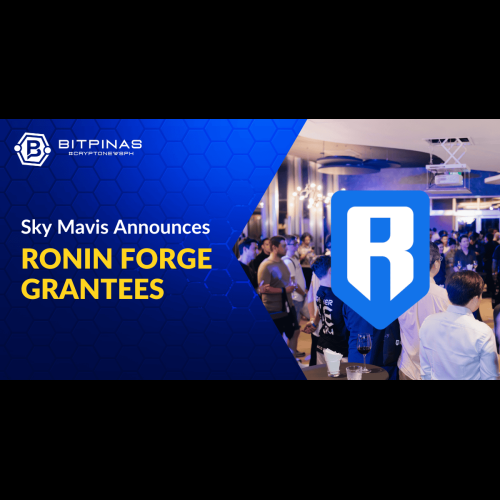 Ronin Forge dévoile son premier groupe de bénéficiaires alors que Sky Mavis vise à créer un réseau de jeux Web3