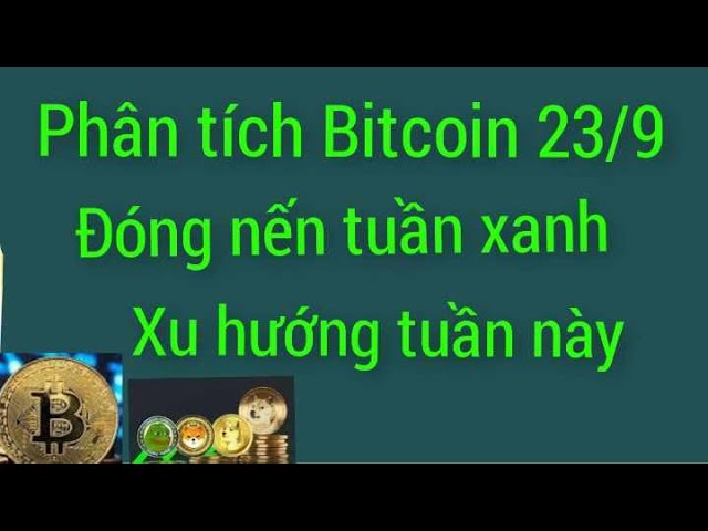 분석 Bitcoin eth dogs sui Cati ton bnb 오늘 9월 23일 암호화폐가 소폭 감소했습니다