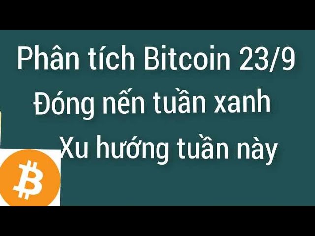 오늘 9월 23일 비트코인 ​​eth dogs 최신 분석에서 암호화폐는 소폭 감소했습니다.