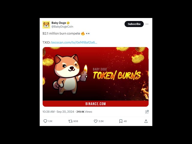 Baby Doge Coin Burn Events and Price Impact