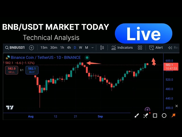 今日 BNB/USDT 市場 | BNBUSDT 今日分析 |即時市場預測