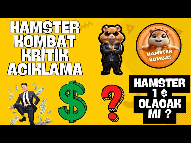 HAMSTER KOMBAT 1 DOLLAR IHRE OLUR? HAMSTER COİN #hamsterkombat #bicity