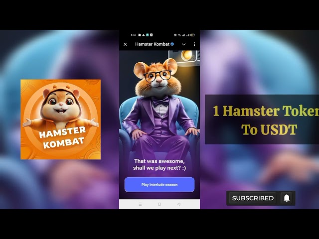 1 Hamster Token to USDT | Hamster Kombat season 2 | hamster Kombat NEW UPDATE