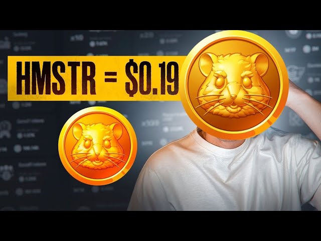 Hmstr 토큰을 usdt로 💵 binance pkr 우르두어 힌디어로 인출하는 쉬운 방법