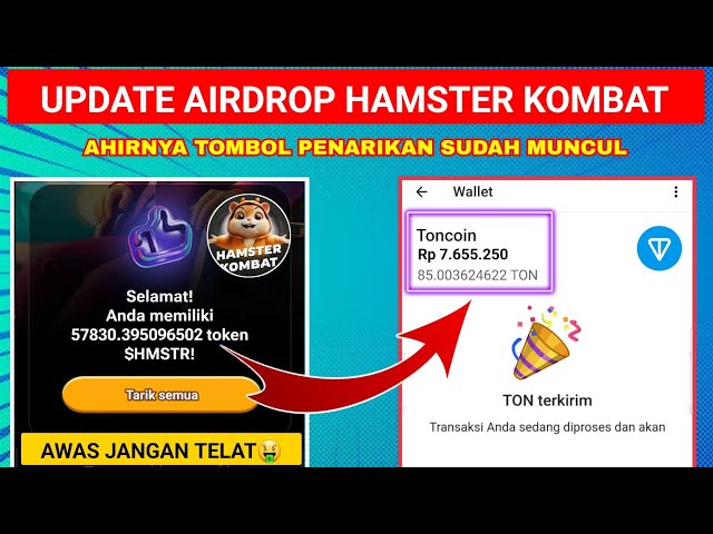 REVIEW HOW TO QUICKLY WITHDRAW $HMSTR TOKEN HAMSTER KOMBAT DIRECTLY INTO TONS | HAMSTER COMBAT WITHDRAWAL