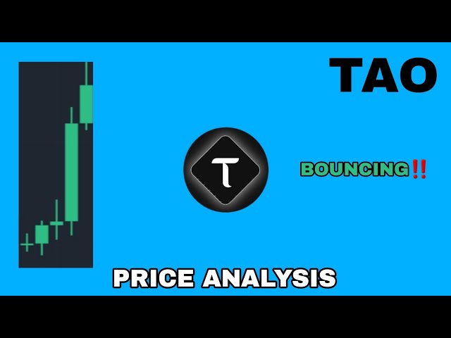 TAO COIN REBONDIT EN SEPTEMBRE 2024‼️ ANALYSE DES PRIX BITTENSOR‼️ SIGNES IMPORTANTS POUR TAO CRYPTO