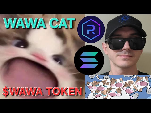 $WAWA - WAWA CAT TOKEN CRYPTO PIÈCE COMMENT ACHETER SOL SOLANA MEMECOIN WAWACAT RAYDIUM JUPITER NOUVEAU POPCAT