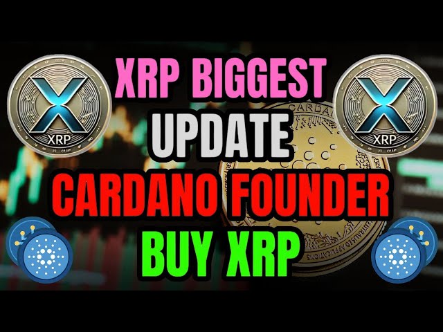 XRP BITBOY CRYPTO XRP AVERTISSEMENT SUR LA TV EN DIRECT ! XRP PROJETÉ 254 ! XRP LES PLUS GRANDES NOUVELLES DU JOUR #nouvelles