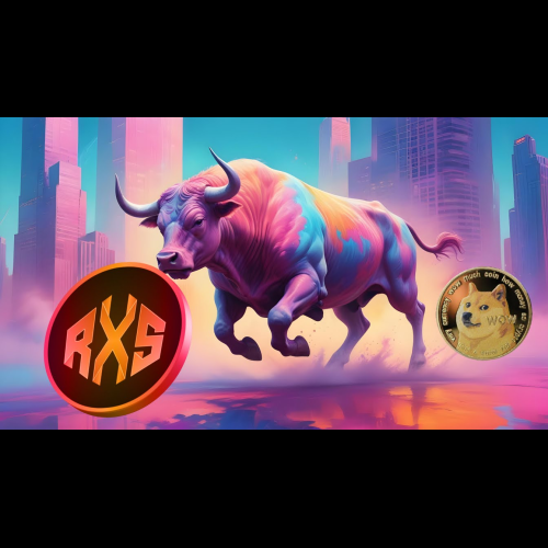 Rexas Finance (RXS)：击败 SHIB 和 DOGE 的下一个大事件