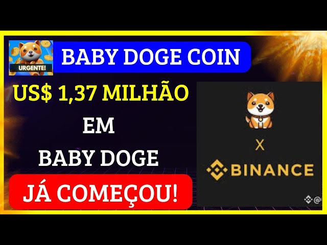 BABY DOGE COIN 🚨DRINGEND🚨 HAT BEREITS BEGONNEN! DAS MÜSSEN SIE SEHEN! SCHNEIDEN SIE NULL!