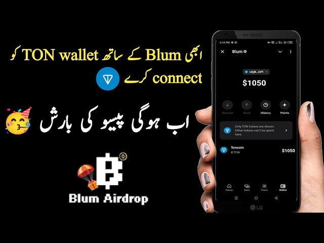 Blum Airdrop || Verbinden Sie Ihr Ton-Wallet mit Blum || Blum-Token-Anspruch in Ton