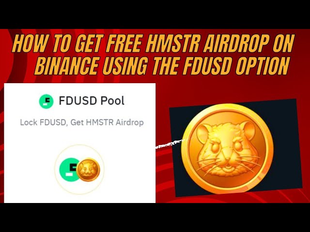 Free HMSTR Token AIRDROP on Binance Launchpool, Using the FDUSD Option