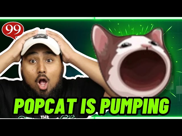 Die Popcat-Meme-Münze pumpt! (JETZT KAUFEN?!) Top Crypto Meme Coin Gainer!!!