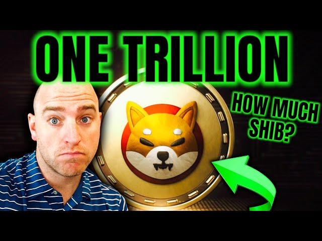 Combien vaut une pièce Shiba Inu de 1 000 $ si SHIB atteint un billion de dollars ?