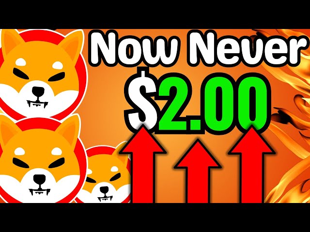 SHIBA INU: PANIC-ALARM IN DEN USA!! DER GRÖSSTE UNFALL IN DER GESCHICHTE? - SHIBA INU COIN NEWS VORHERSAGE