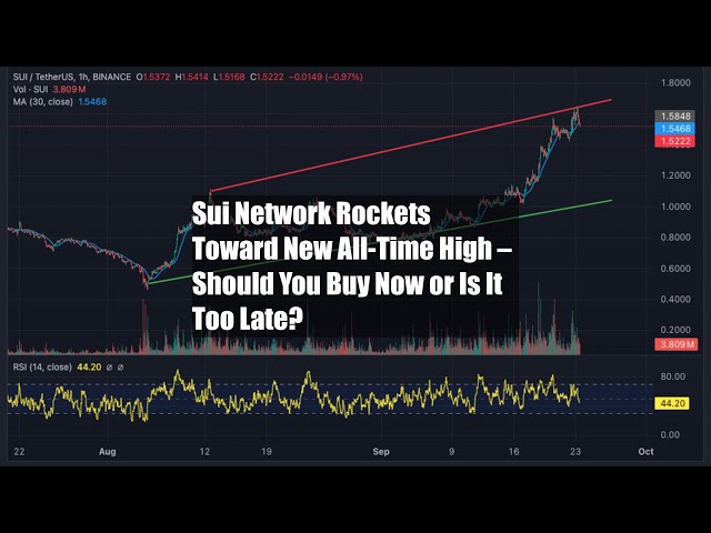 Sui Network, 새로운 사상 최고치를 향해 로켓 – 지금 구매해야 할까요?